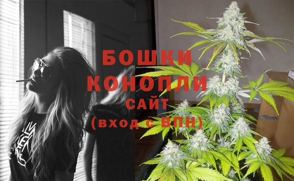 стаф Белоозёрский