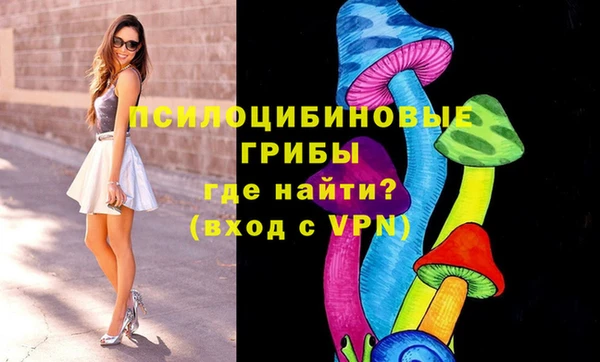 спайс Беломорск